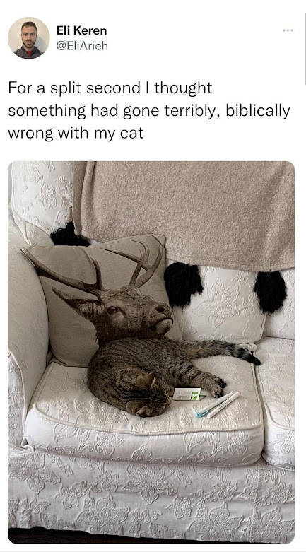 1699063417451.png