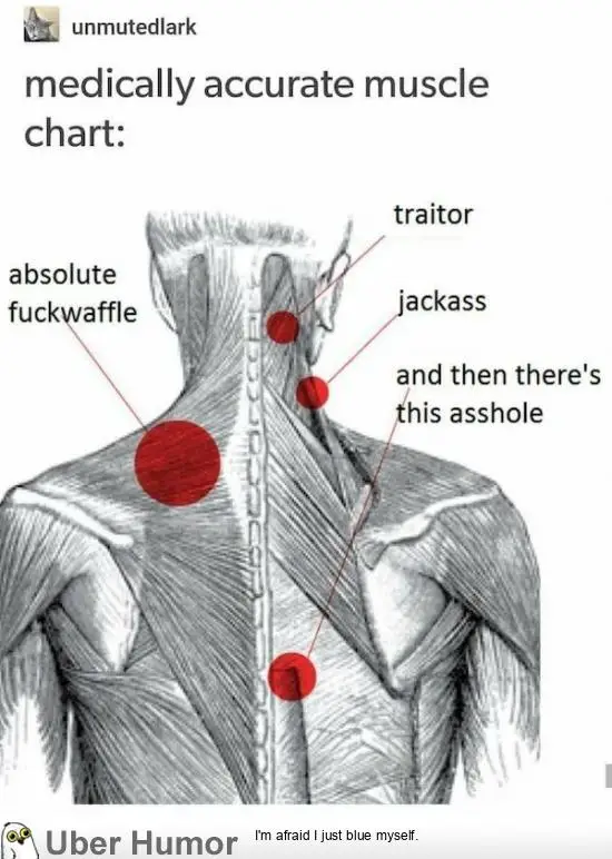 1699097517337.png