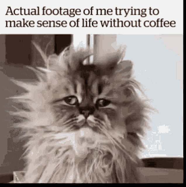 1699114023330.gif