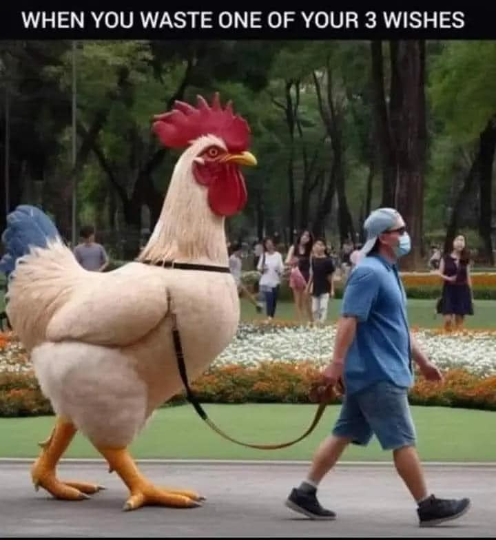1699151615317.png