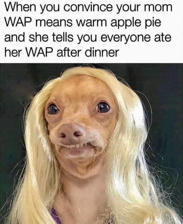 1699233516010.png