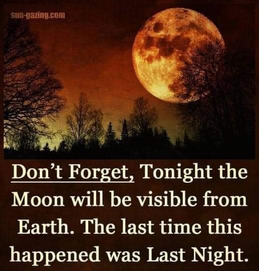 1699306325844.png