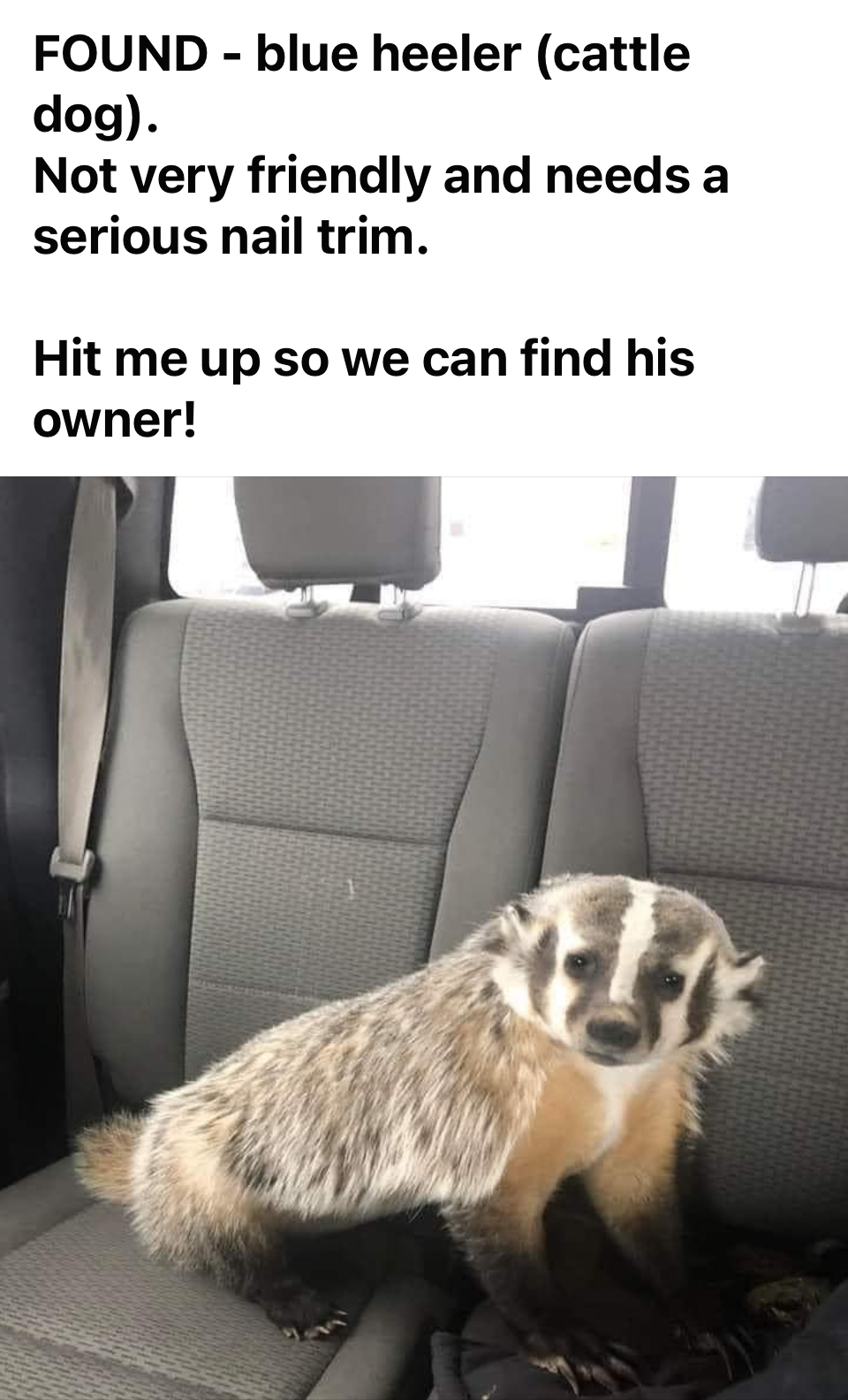 1699365617334.png