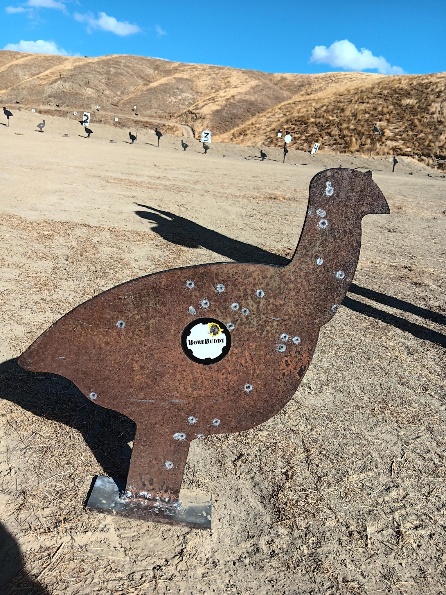 1699476405084.png