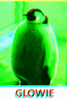 1699495430904.gif