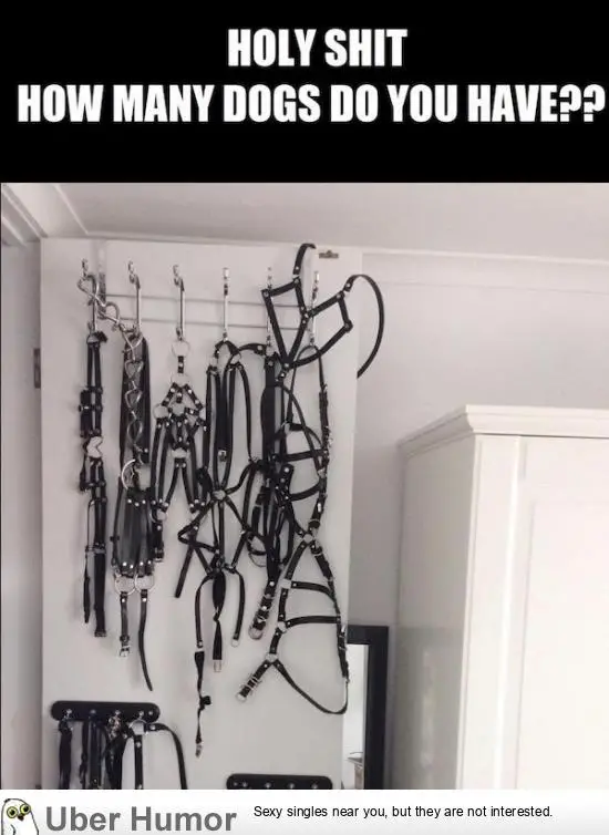 1699512057672.png