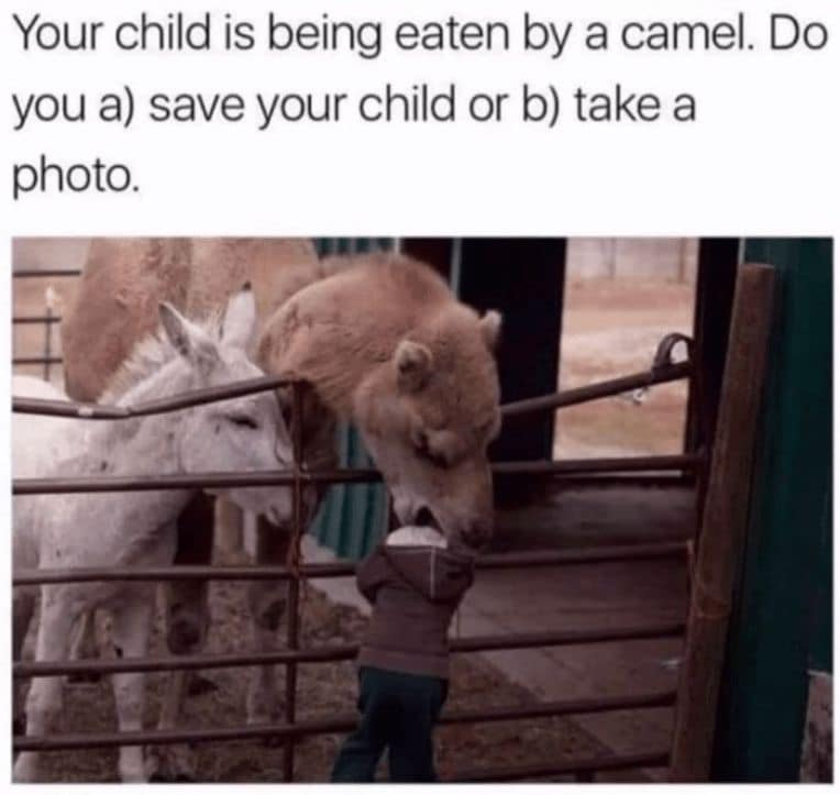 1699639457228.png
