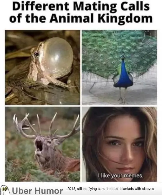 1699754119425.png