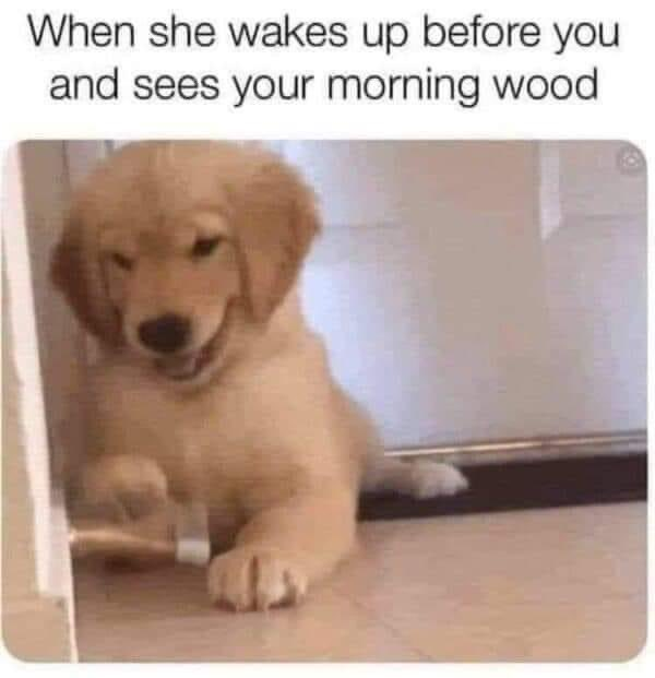 1699843607151.png