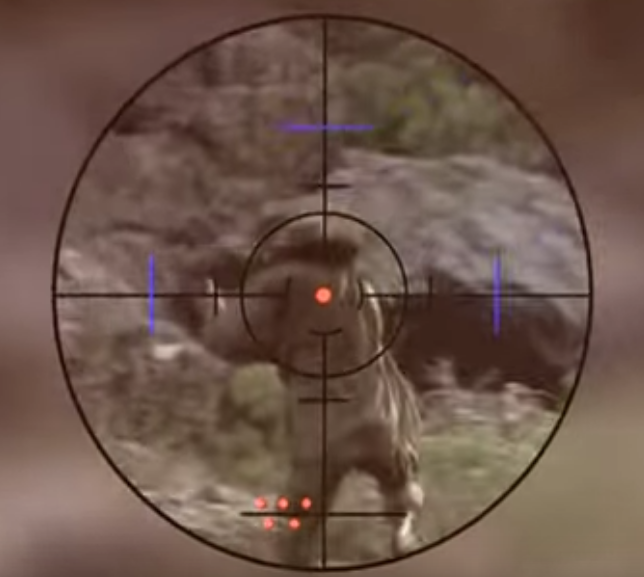 1699848840847.png