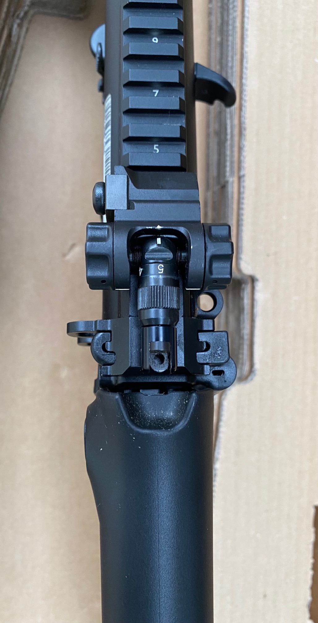 16s- rear sight.jpg