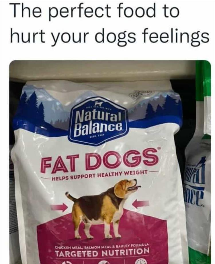 1700183086446.png