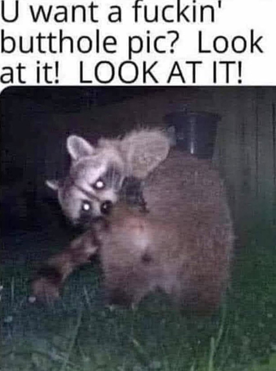 1700519520791.png