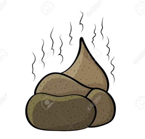 1700592374513.png