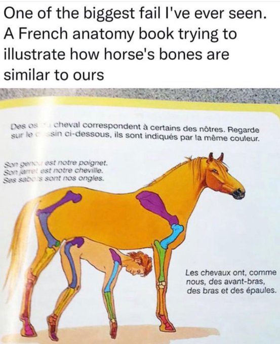 1700675602608.png