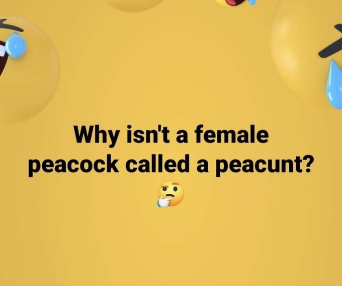 1700888982065.png