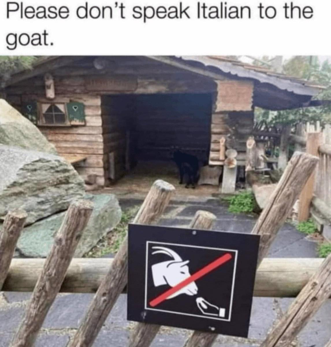 1700930147778.png
