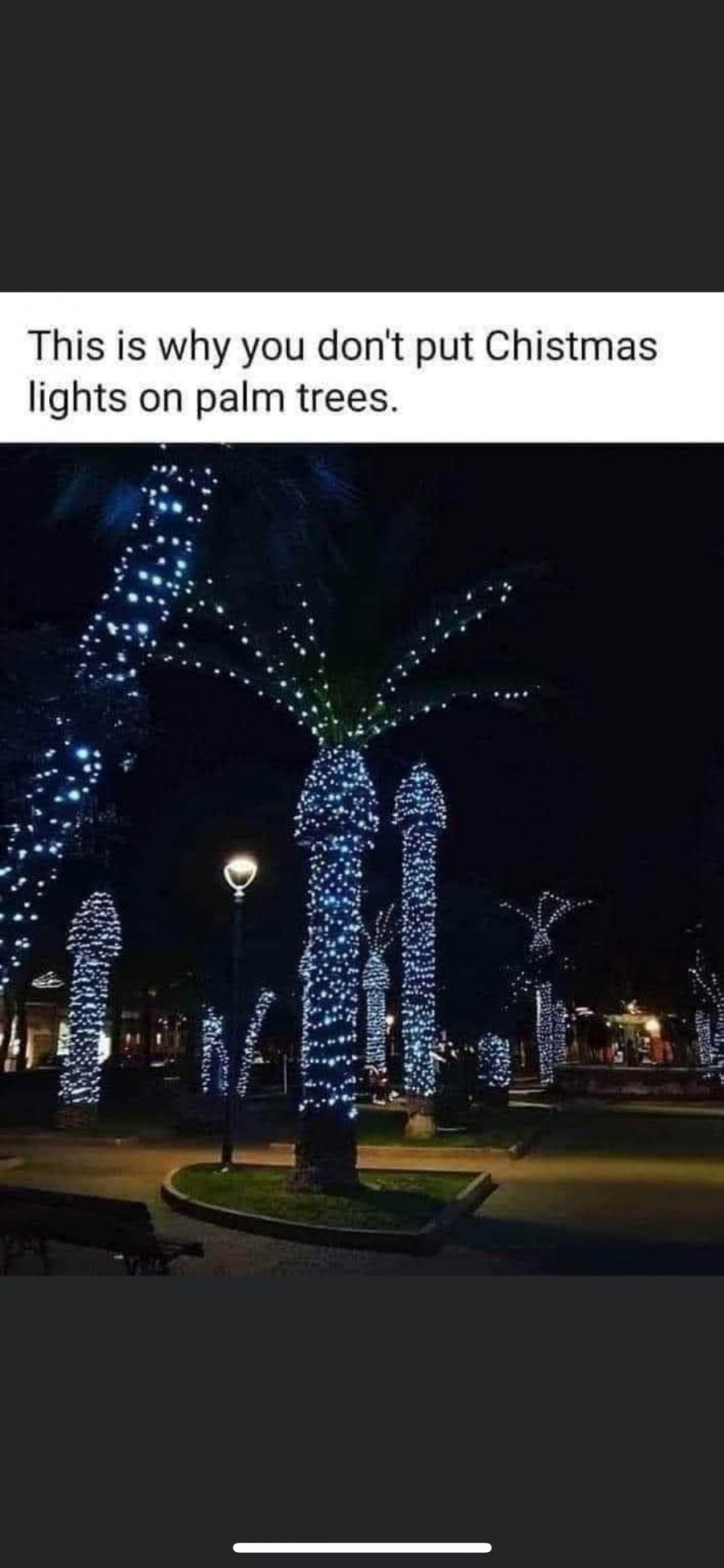 1701039562857.jpeg