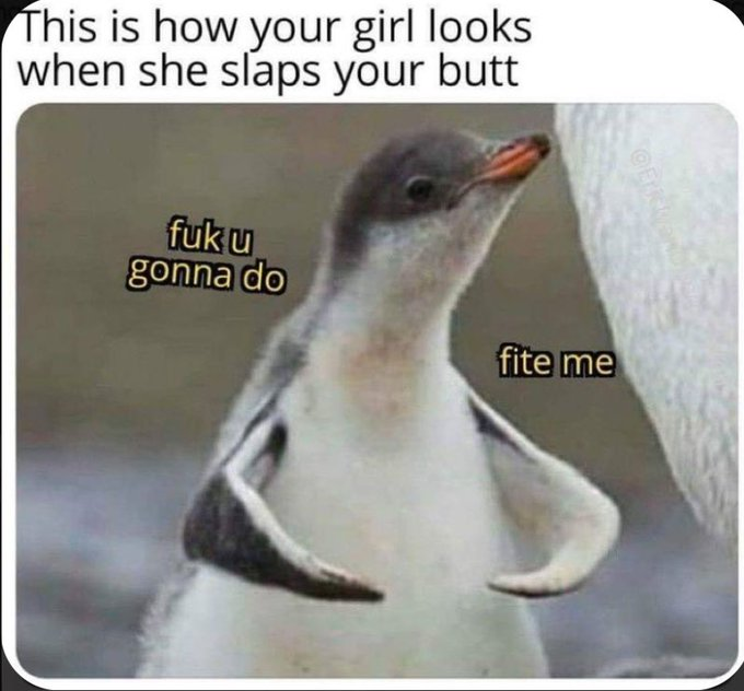 1701215563618.png