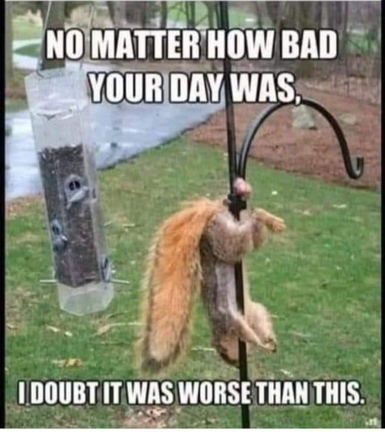 1701332941456.png