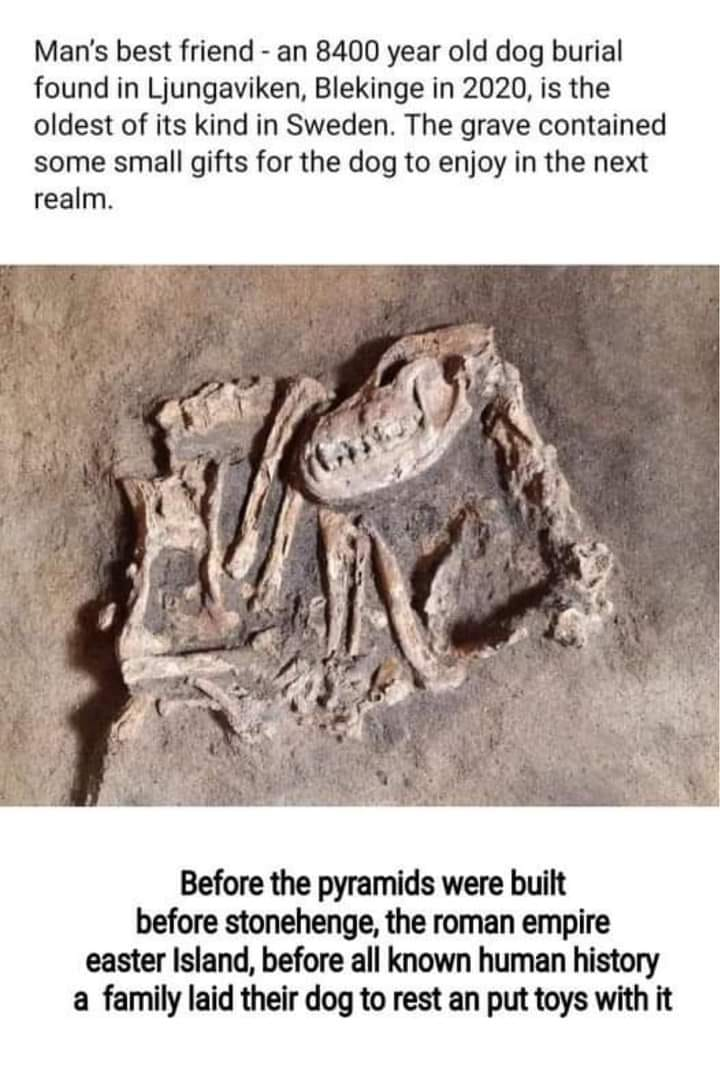 1701575142390.png
