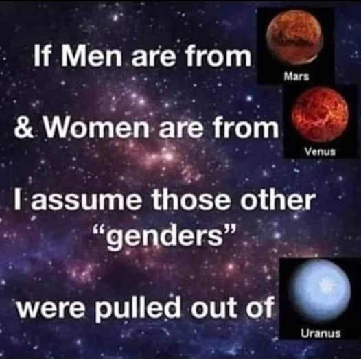 1701664038460.png