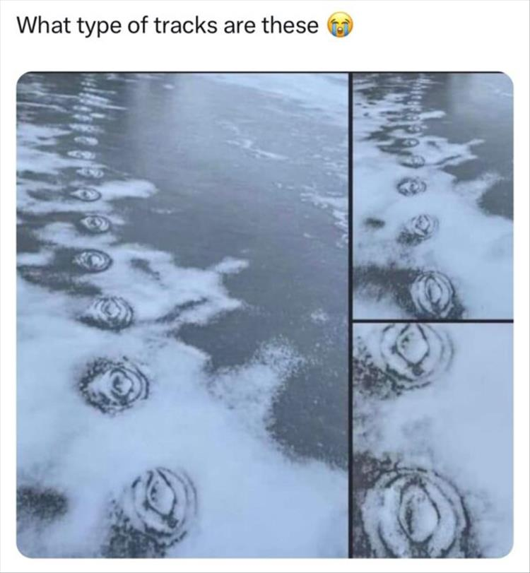 1701667303887.png