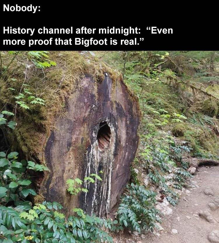1701839776007.png