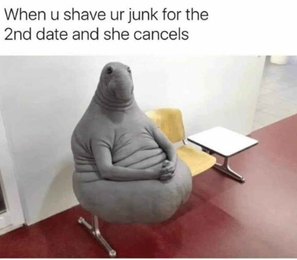 1702132246268.png