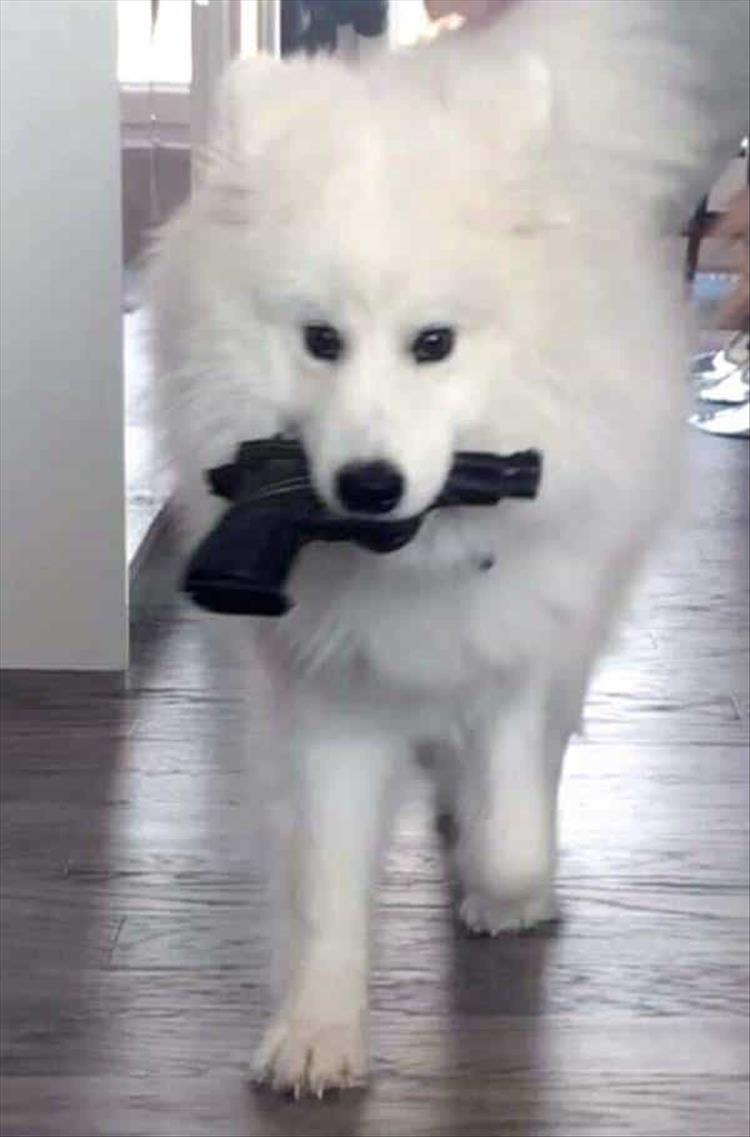 1702452446028.png