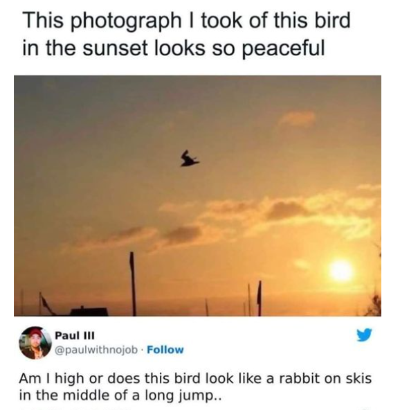 1702481922031.png
