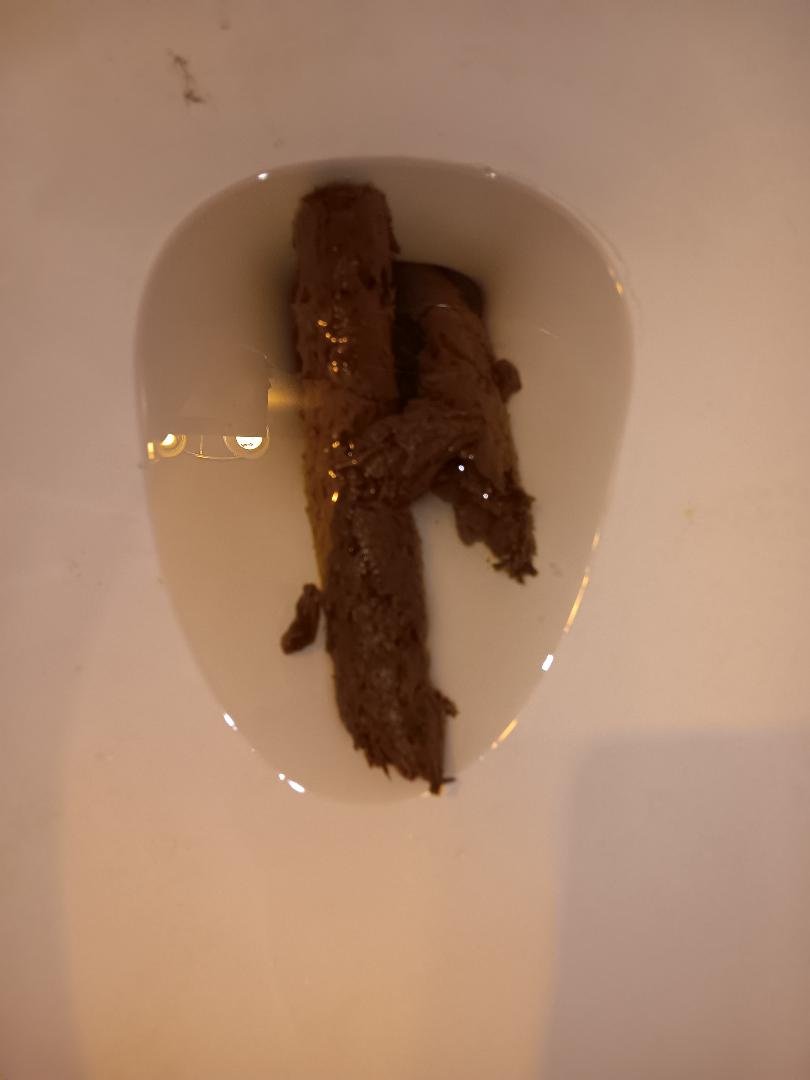 1703262623423.png