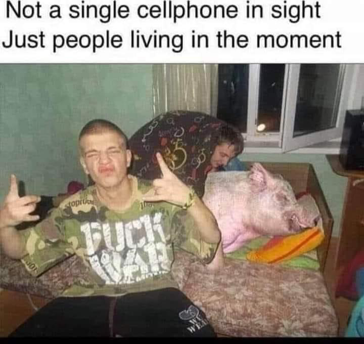 1703384550089.png