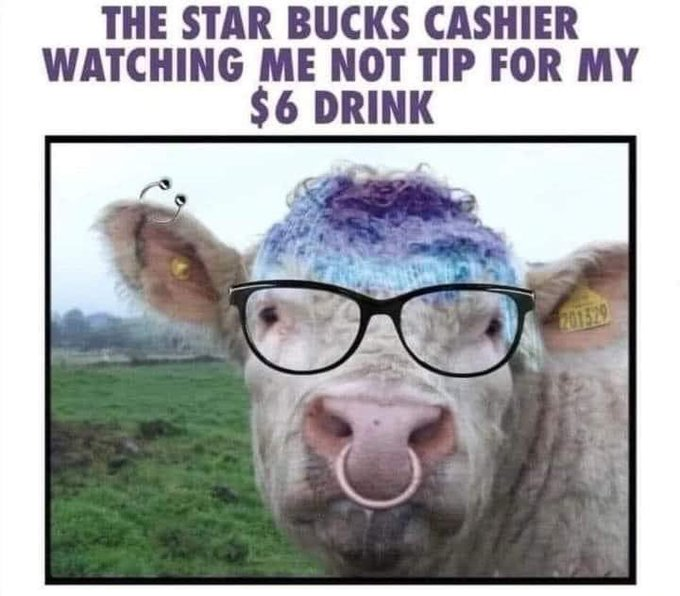 1703394222503.png