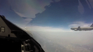 1703526794736.gif