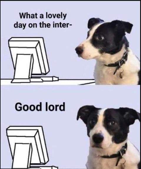 1703622718813.png