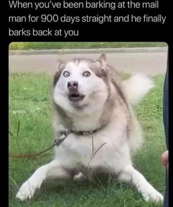 1703625700300.png