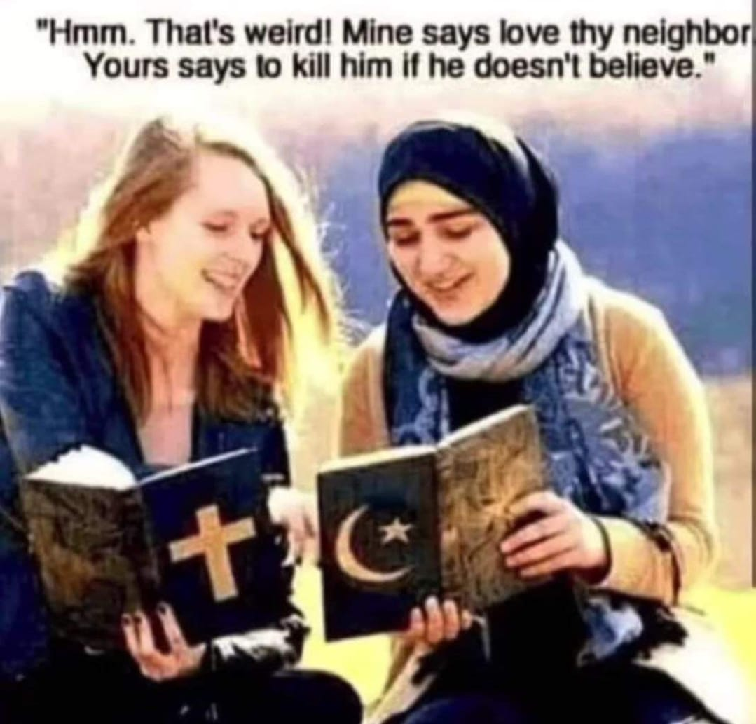 1703646879888.png