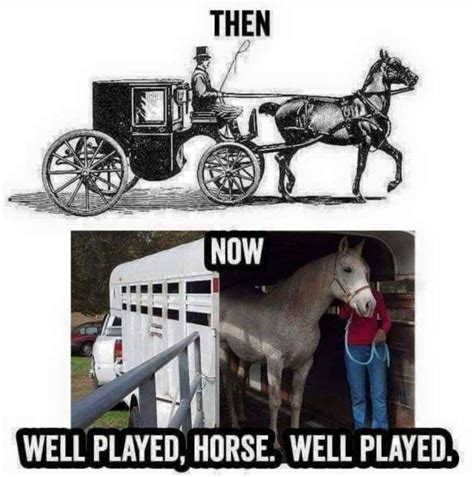 1703680408337.jpeg