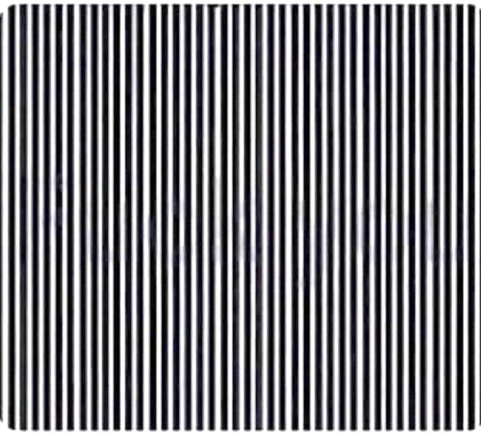 1703797292903.png