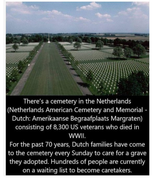 1703869913808.png