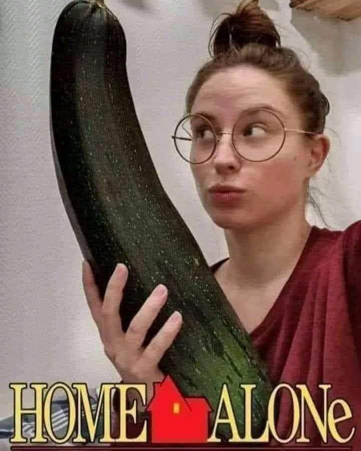 1703963876817.png