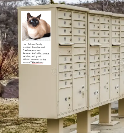 1704295172675.png