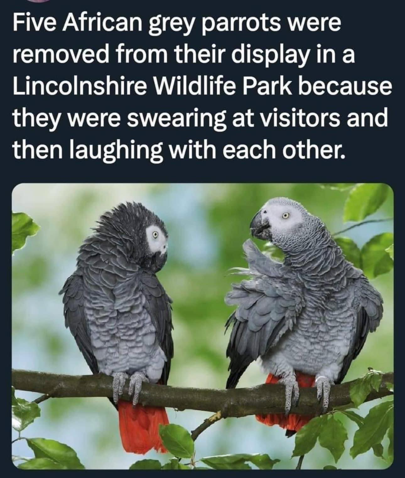 1704677124924.png