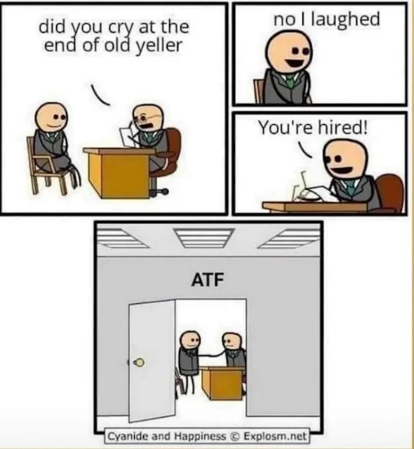 1704815670480.png