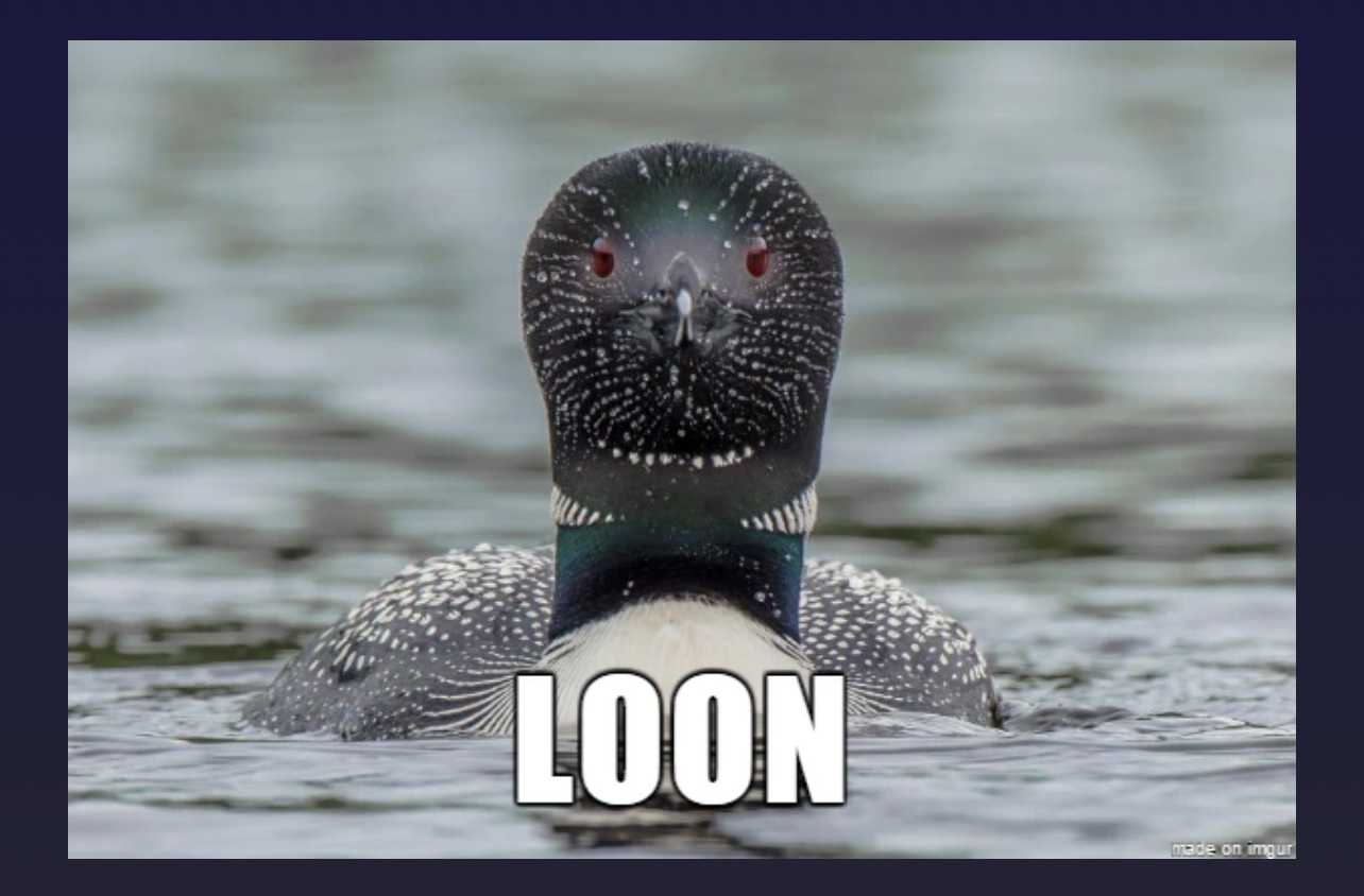 1704827895508.png