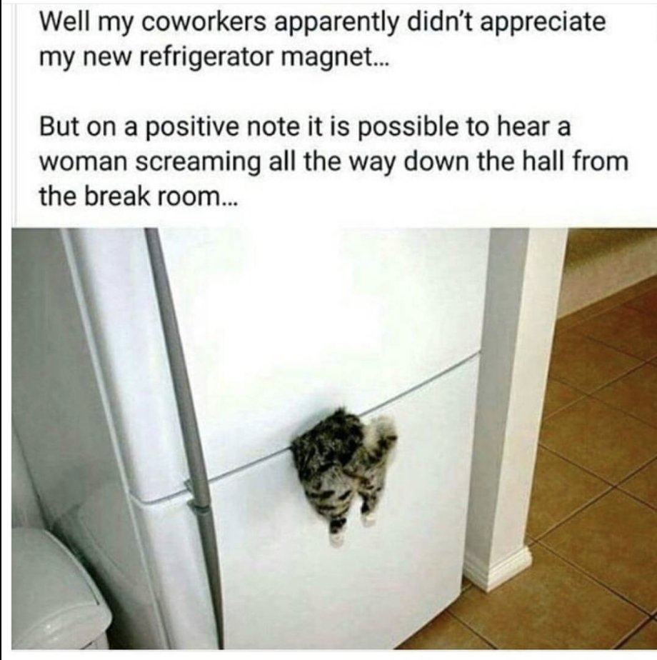 1704840943346.png