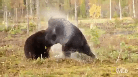 1704858219723.gif