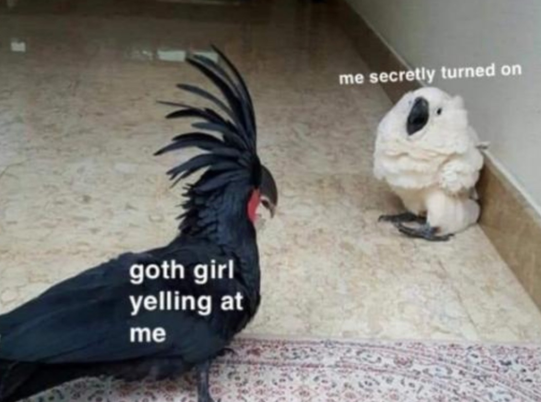 1705285191378.png