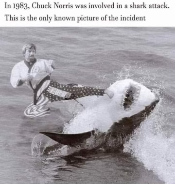 1705339485343.png